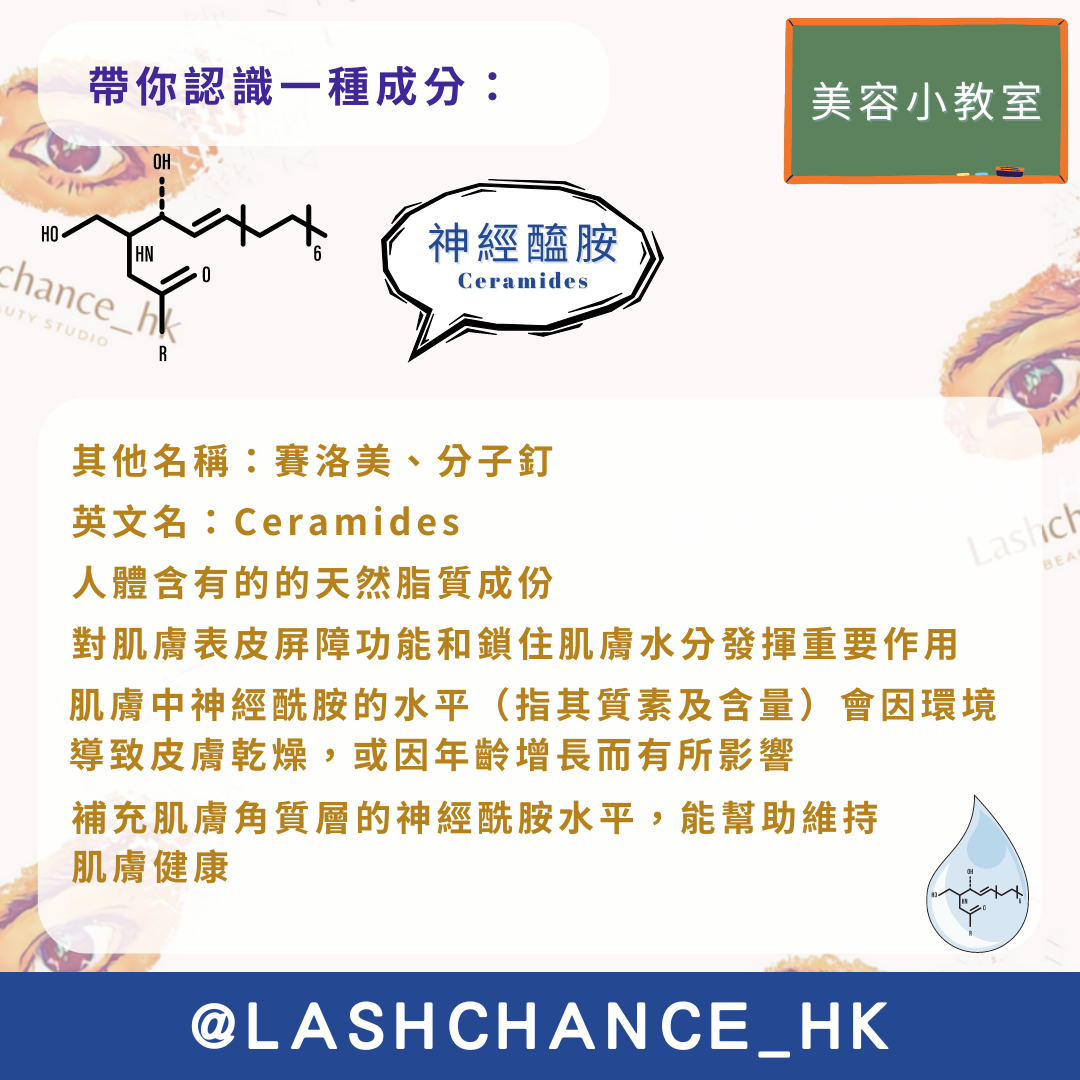 美容小教室 帶你認識一種成分:神經醯胺 - Lashchance_hk