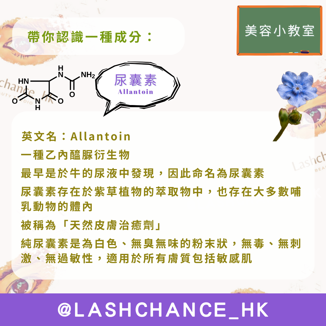 美容小教室 帶你認識一種成分:尿囊素