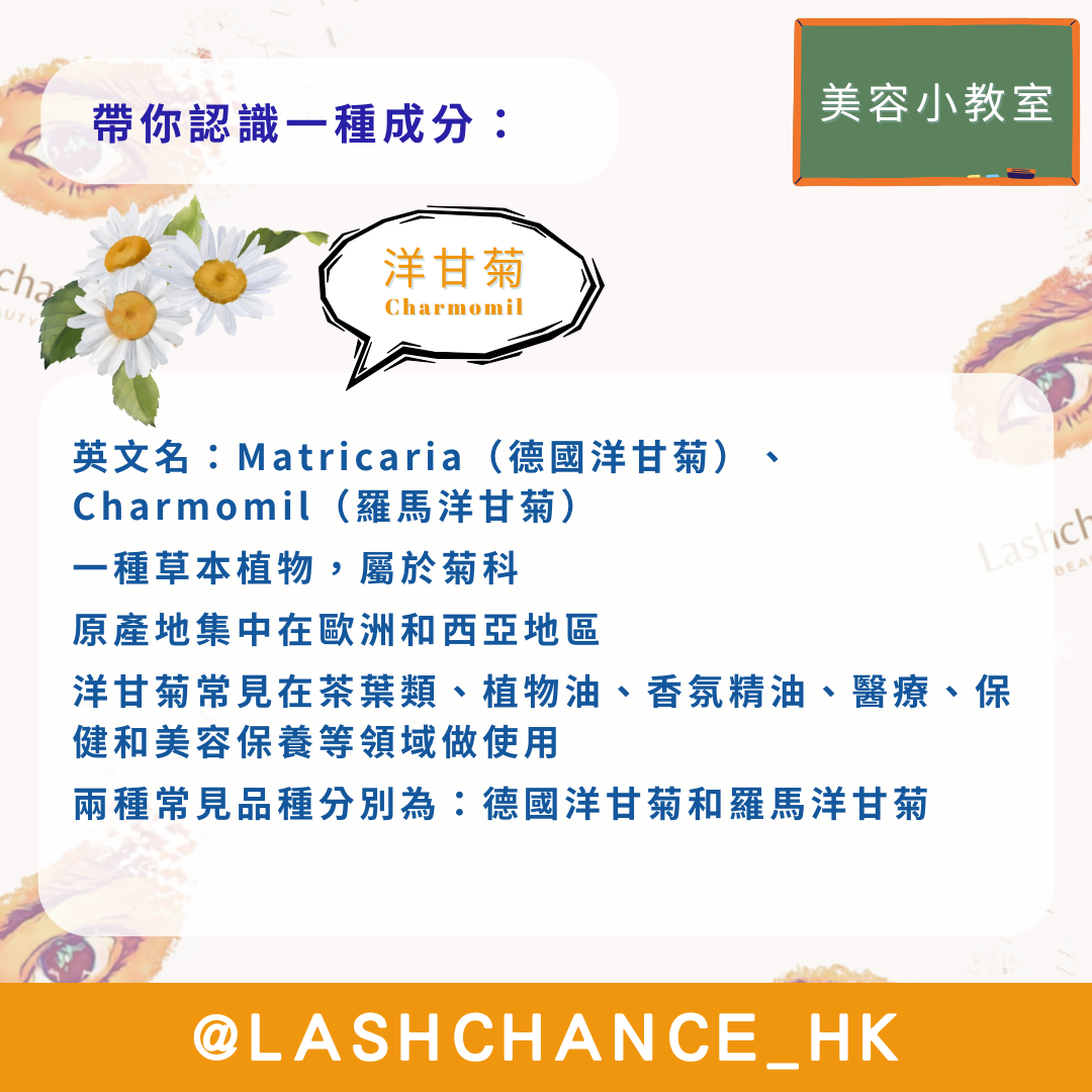 美容小教室 帶你認識一種成分:洋甘菊