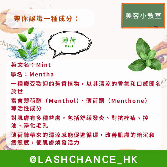 美容小教室 帶你認識一種成分:薄荷