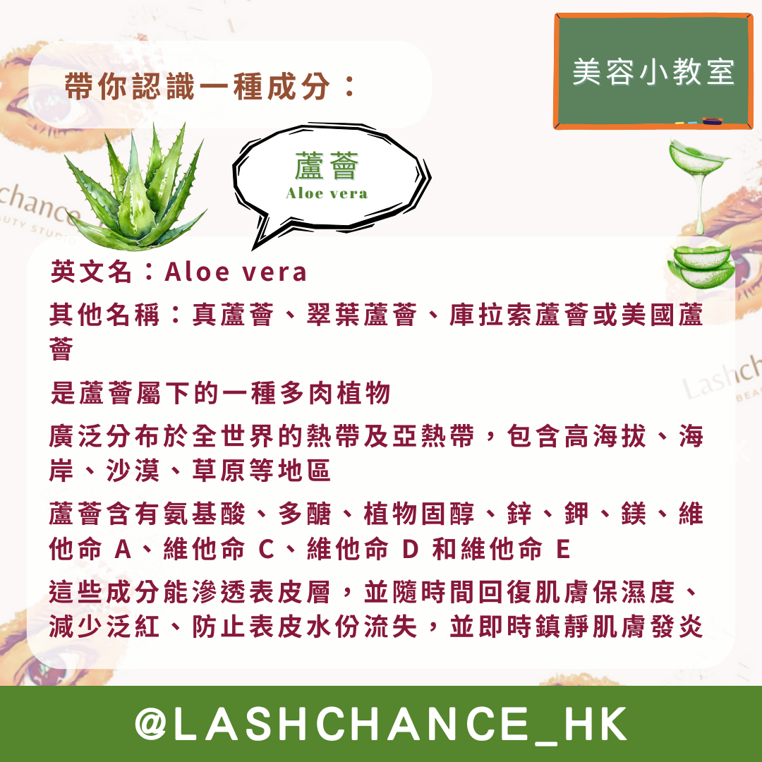 美容小教室 帶你認識一種成分：蘆薈 - Lashchance_hk
