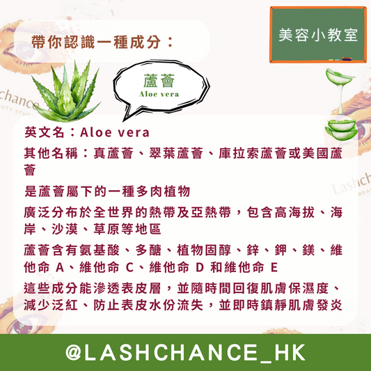 美容小教室 帶你認識一種成分：蘆薈 - Lashchance_hk