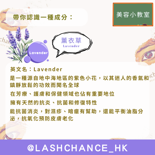 美容小教室 帶你認識一種成分：薰衣草 - Lashchance_hk