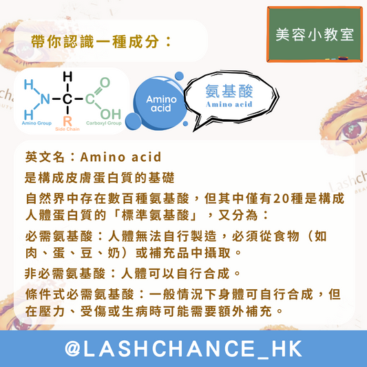 美容小教室 帶你認識一種成分：氨基酸 - Lashchance_hk