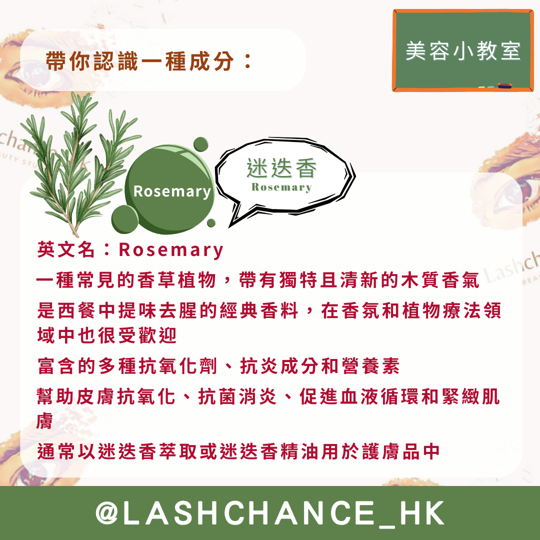 美容小教室 帶你認識一種成分：迷迭香