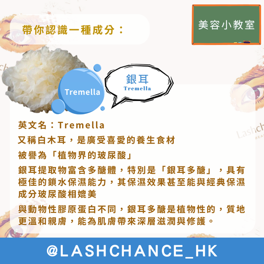 美容小教室 帶你認識一種成分：銀耳