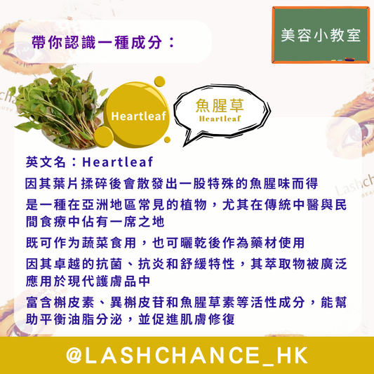 美容小教室 帶你認識一種成分：魚腥草