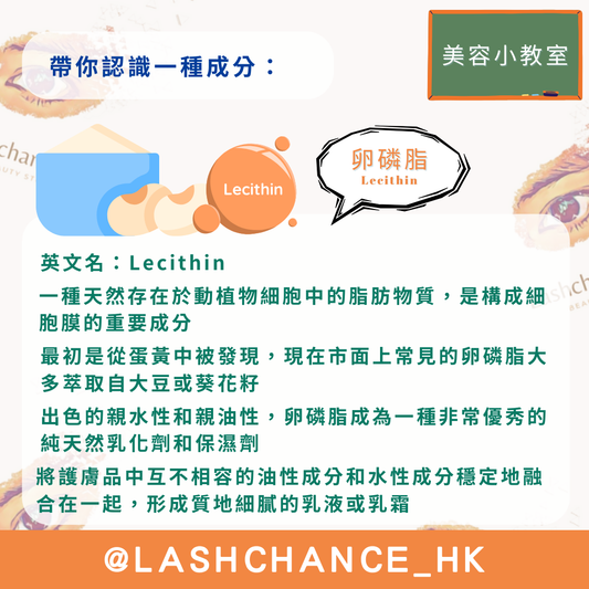美容小教室 帶你認識一種成分：卵磷脂