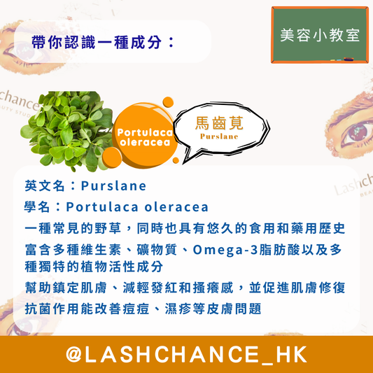 美容小教室 帶你認識一種成分：馬齒莧