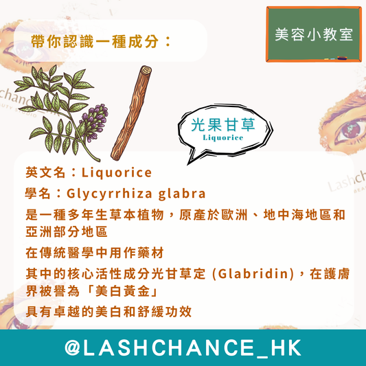 美容小教室 帶你認識一種成分：光果甘草