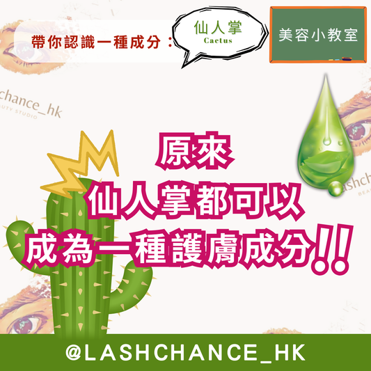 美容小教室 帶你認識一種成分：仙人掌