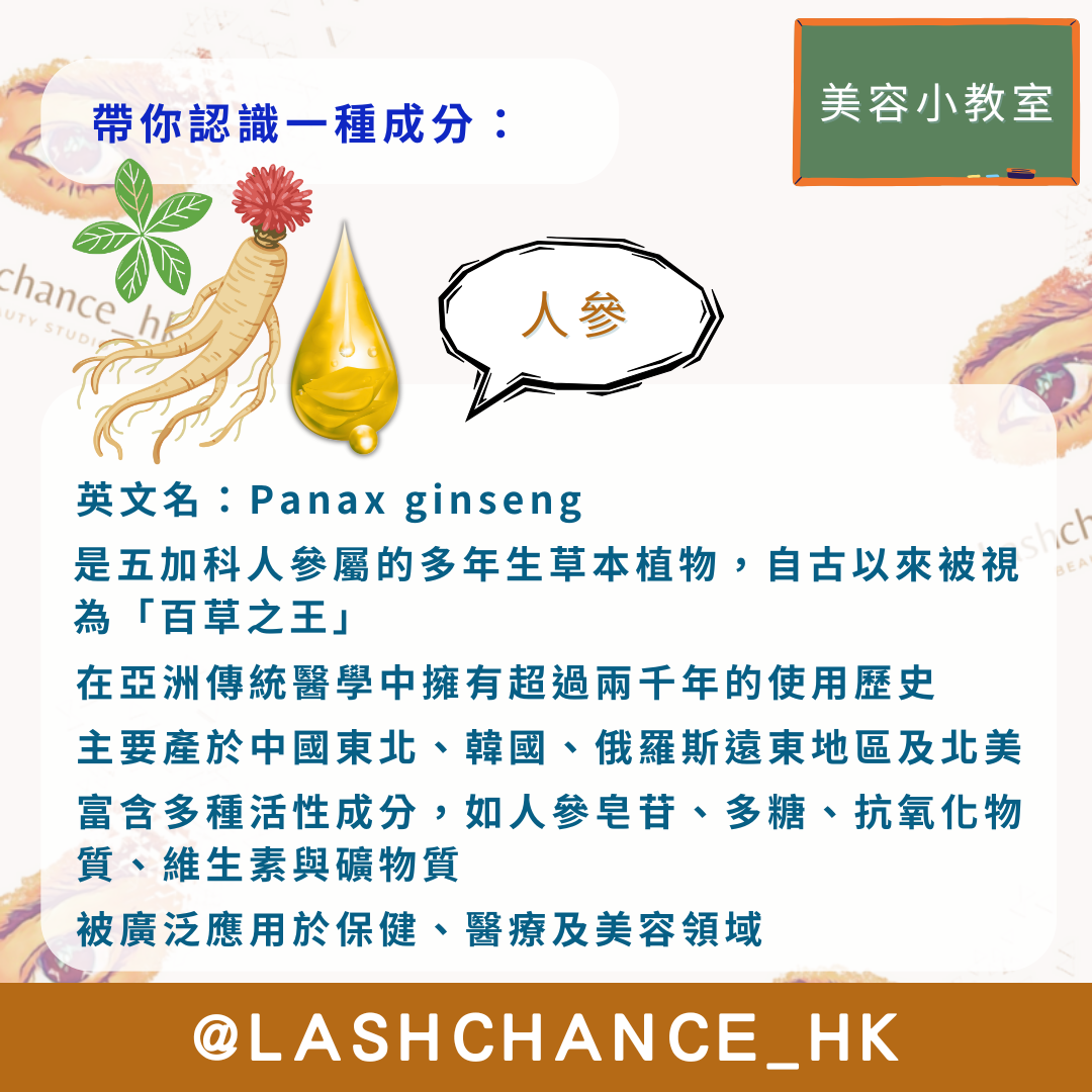 美容小教室 帶你認識一種成分：人參
