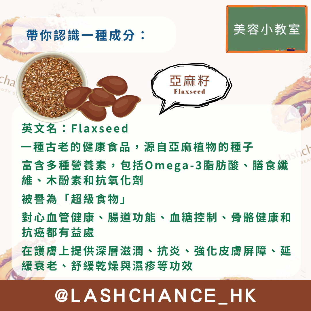 美容小教室 帶你認識一種成分：亞麻籽