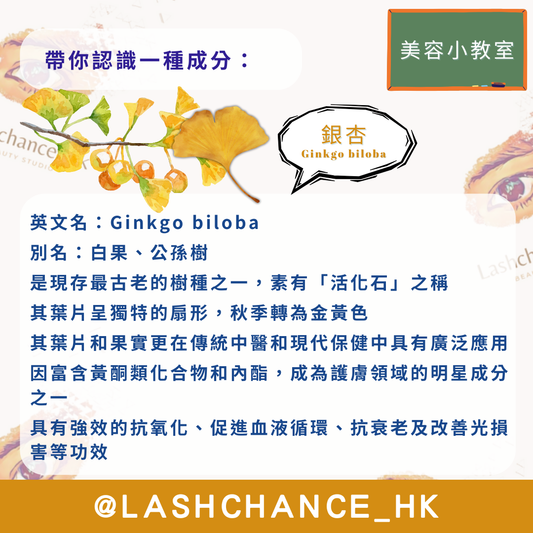 美容小教室 帶你認識一種成分：銀杏