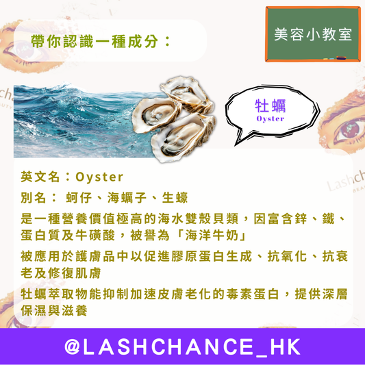 美容小教室 帶你認識一種成分：牡蠣