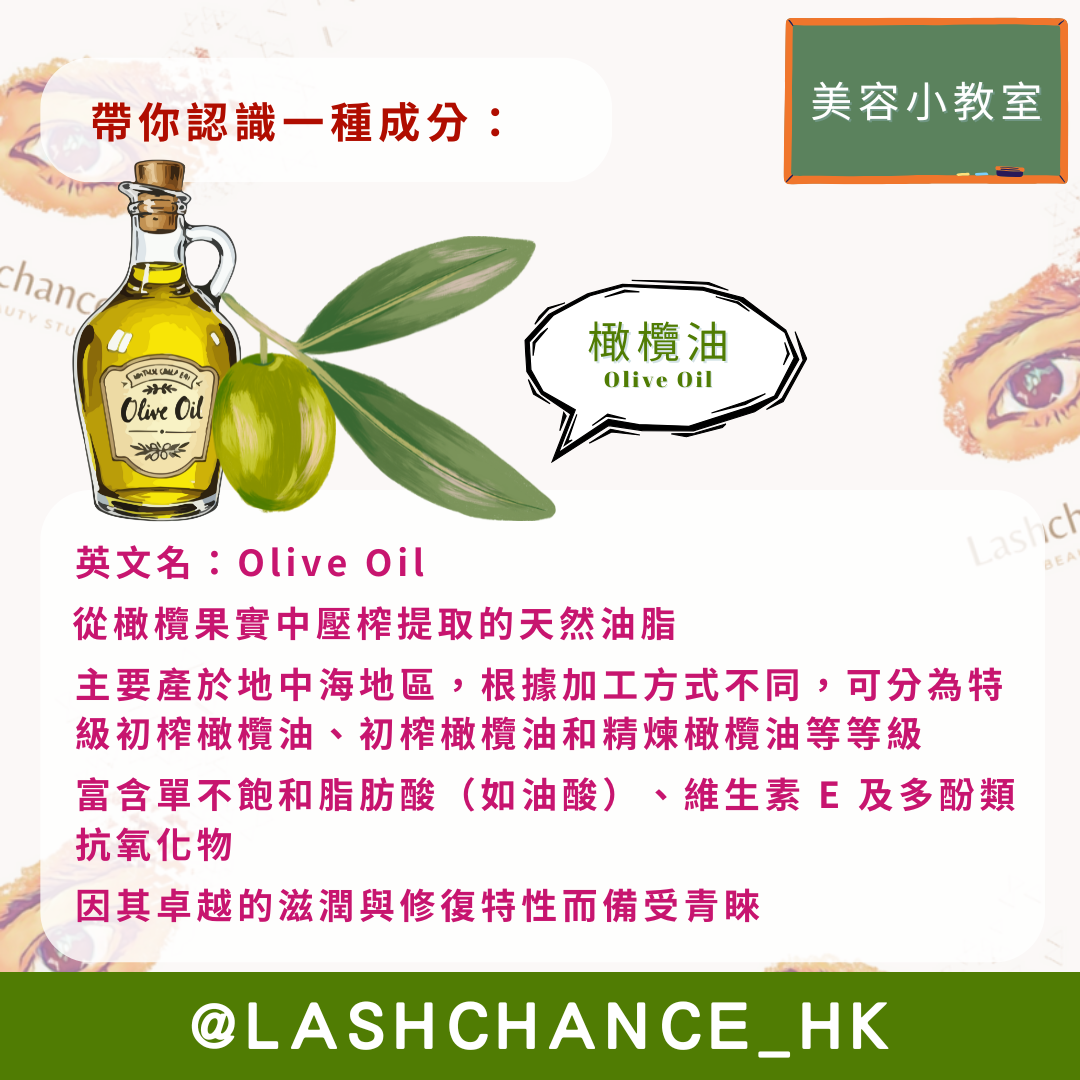 美容小教室 帶你認識一種成分：橄欖油