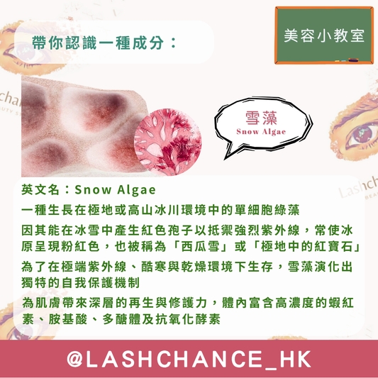 美容小教室 帶你認識一種成分：雪藻
