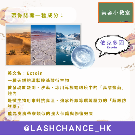 美容小教室 帶你認識一種成分：依克多因