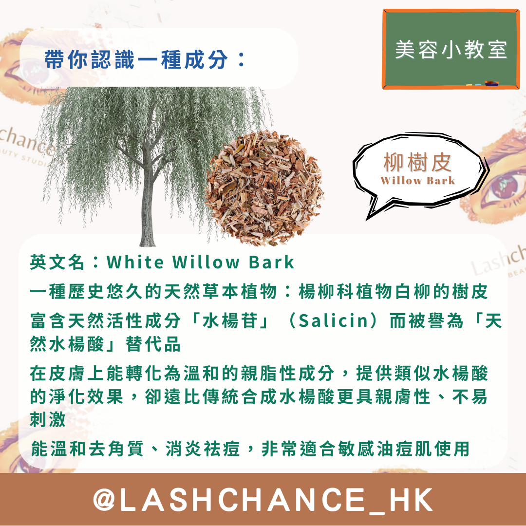 美容小教室 帶你認識一種成分：柳樹皮