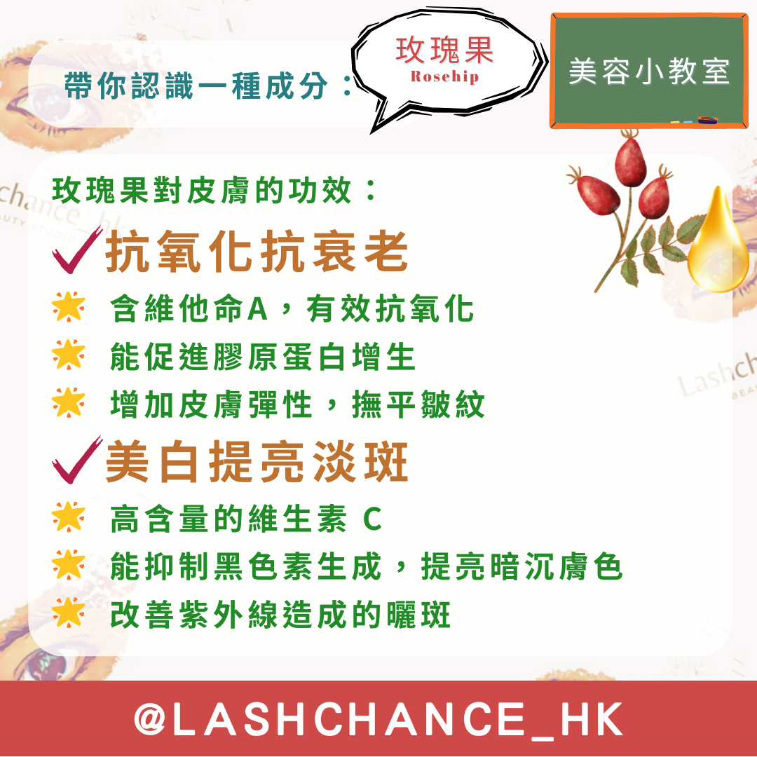 美容小教室 帶你認識一種成分：玫瑰果