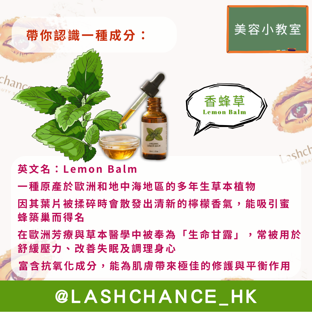 香蜂草
