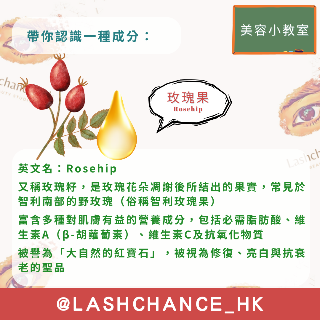 玫瑰果