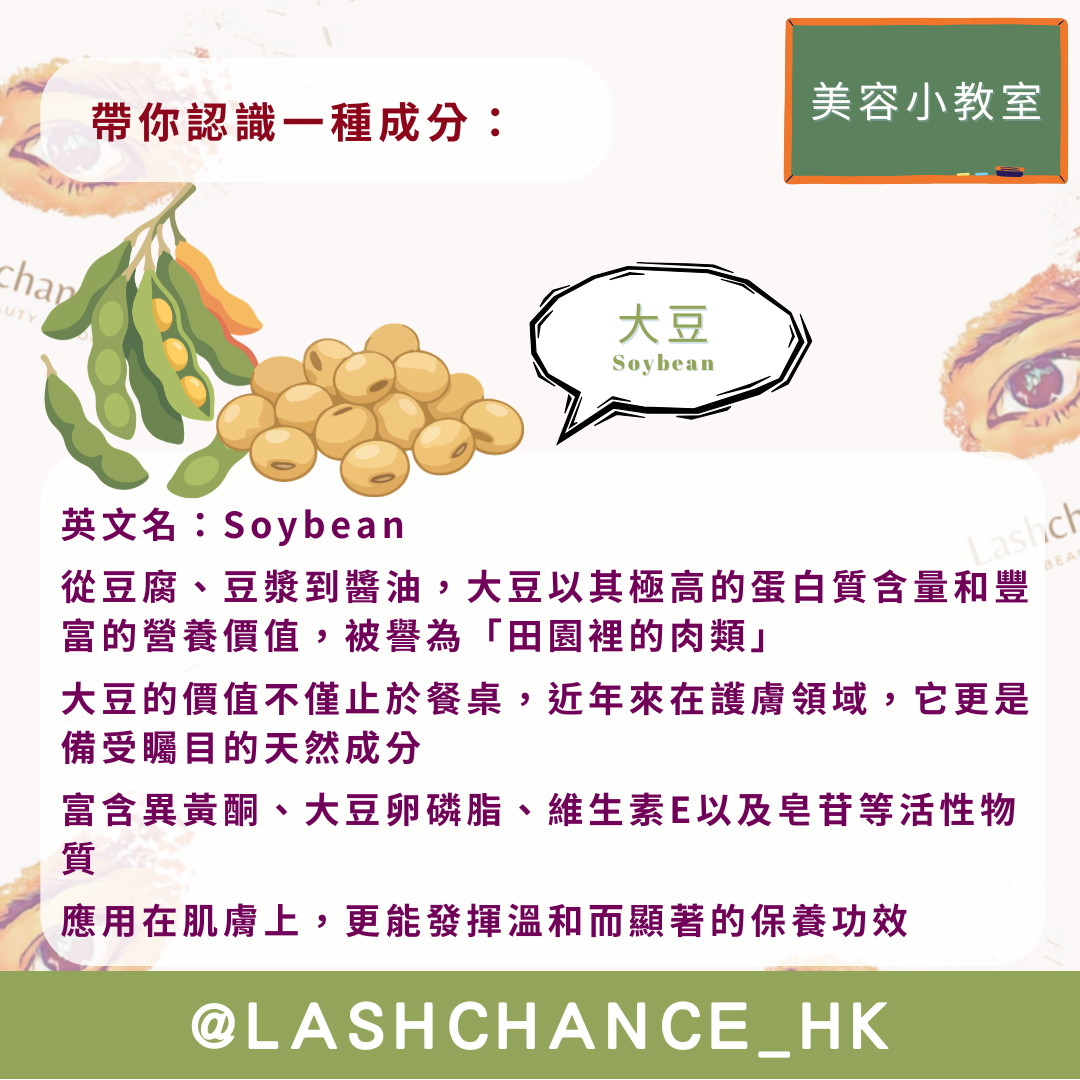 大豆