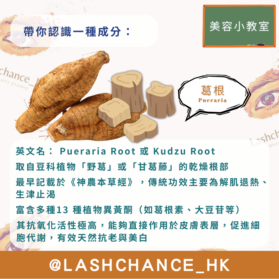 葛根